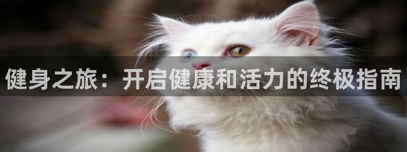 意昂2平台