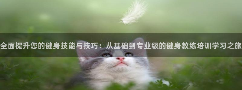 意昂2官方网站