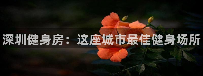 意昂2官方网站