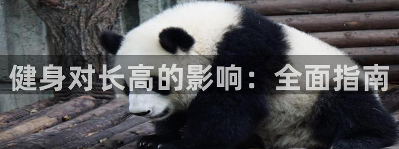 意昂2官方网站