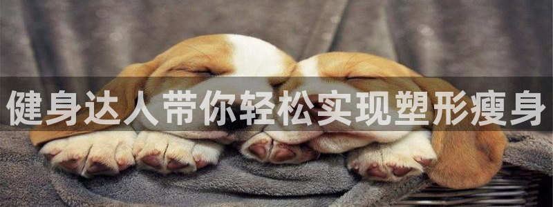 意昂2官方平台