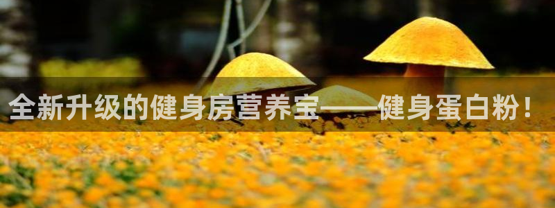 意昂2官网