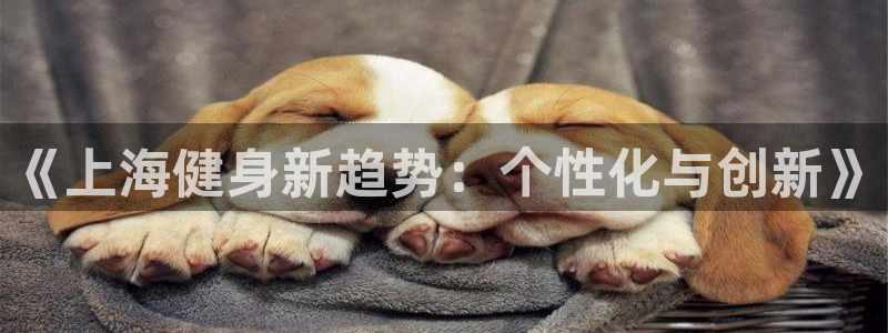 意昂2招商